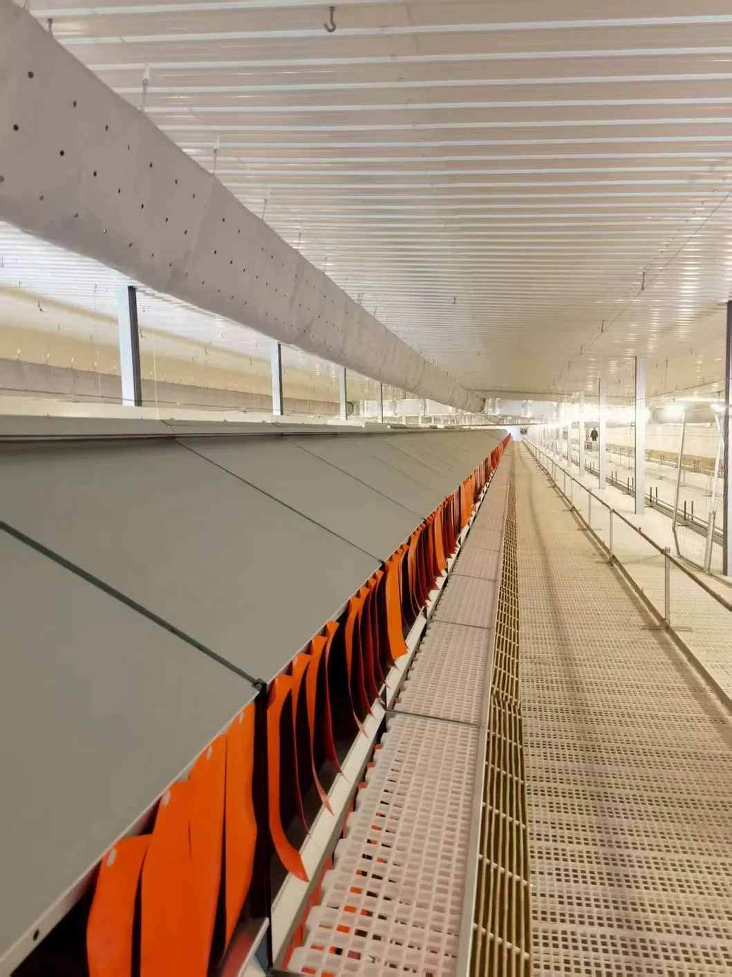 Poultry Farming Automatic Egg Nesting Box Labor Saving For Floor Raised Layers