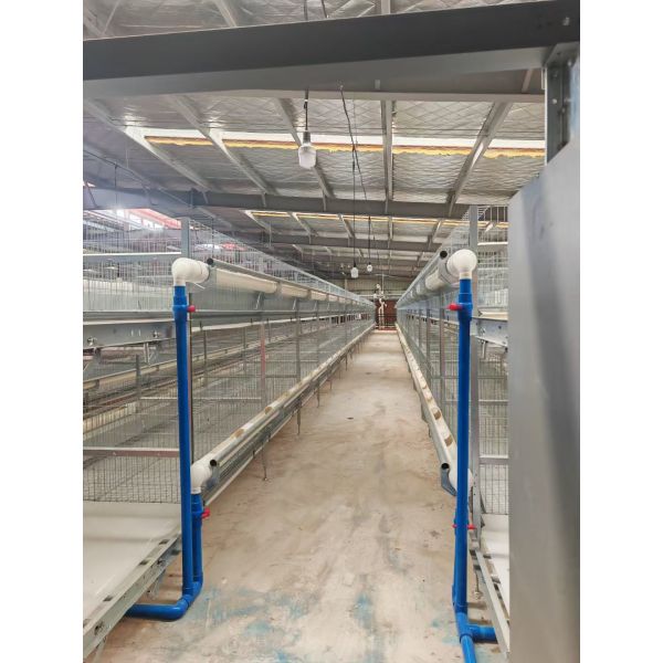 Physiological Parameter Based Design Pig Breeding Equipment RFID Intelligent Sow Management Cable Tray