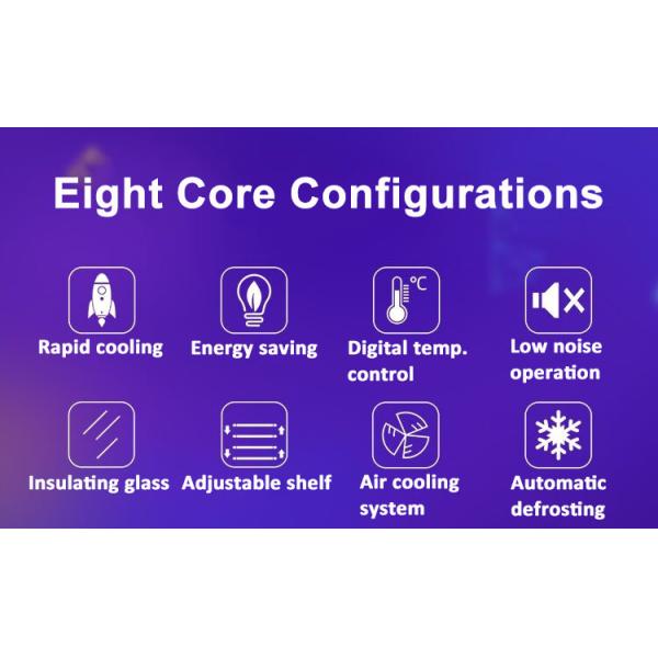 R404a Commercial Beverage Freezer Drink Beer Display Fridge