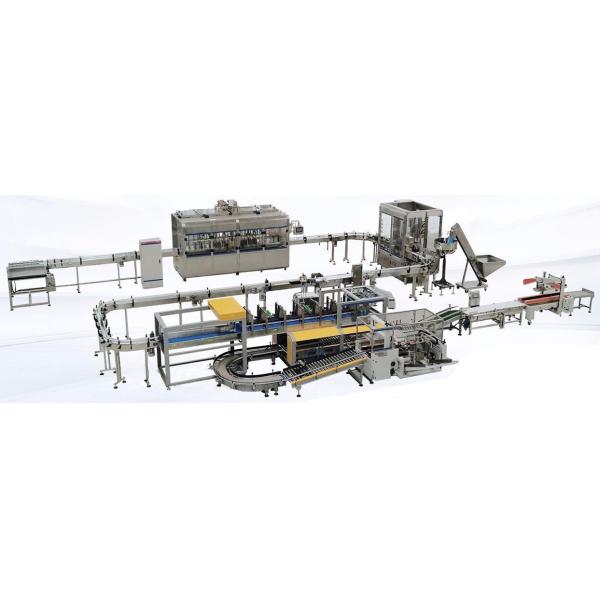 SUS316 8000BPH Spring Water Bottling Line ROAL Capping 120mm Bottle
