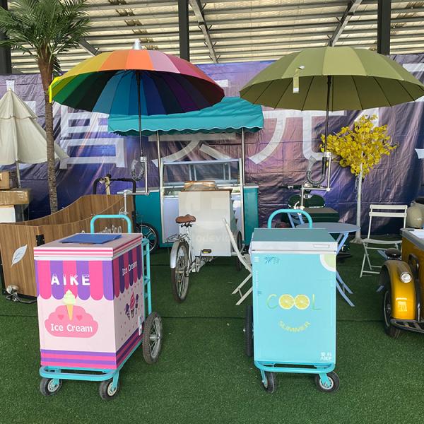 Small Display Showcase Trolley with Cooler Function Customized Trailer Cart in Any Color