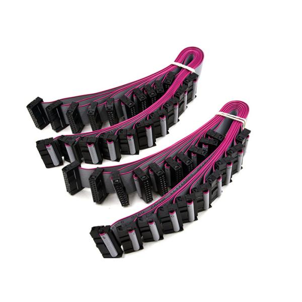 Double Head Terminal Transmission 200mm IDC Ribbon Cable