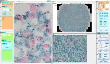 Full-automatic microscope slide scanner with panoramic stitching and depth of field fusion