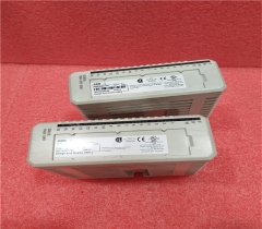 T8461 ICS TRIPLEX T8461 TrustedTM TMR 24/48V dc Digital Output module ICS TRIPLEX T8461