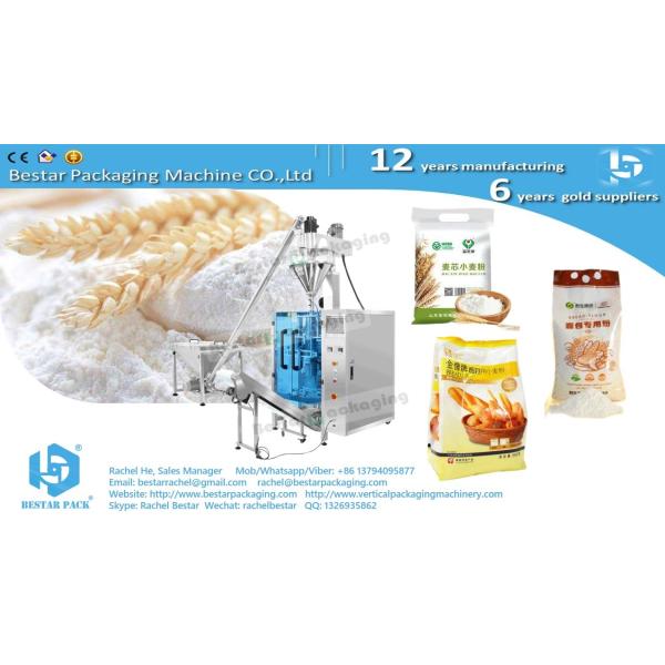 Bestar Machinery Automatic powder flour packing machine BSTV-450DZ