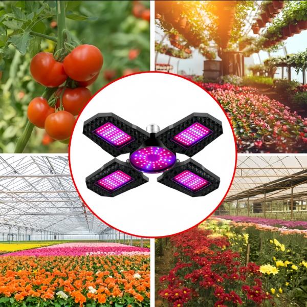 E26 E27 Full Spectrum Red Blue Warm white LED Foldable Grow Light for Green House or Indoor farming