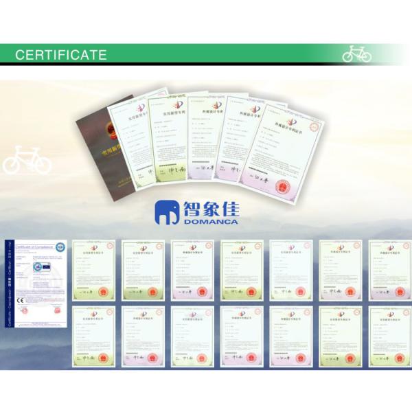 Standard Style Carbon Belt Drive EBike LCD Display Electric Bike with 9.6 AH Capacity