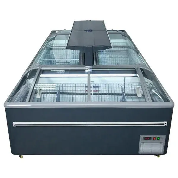 Stainless Steel Industrial Flake Ice Machine Automatic Flake Ice Maker Machine 220V