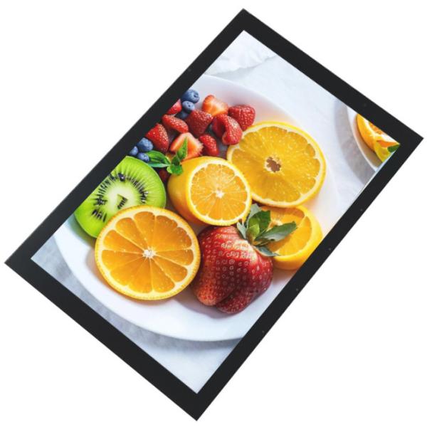 High sensitivity Capacitive Resistive Touch Screen 10.1 Inch Full Color IPS Lcd Display Panel