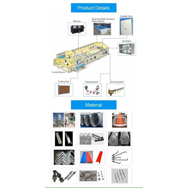 Complete Prefab House Solution Chicken Farming Industrial-Style Automatic Layer Broiler Poultry Cage System Steel for Warehouse