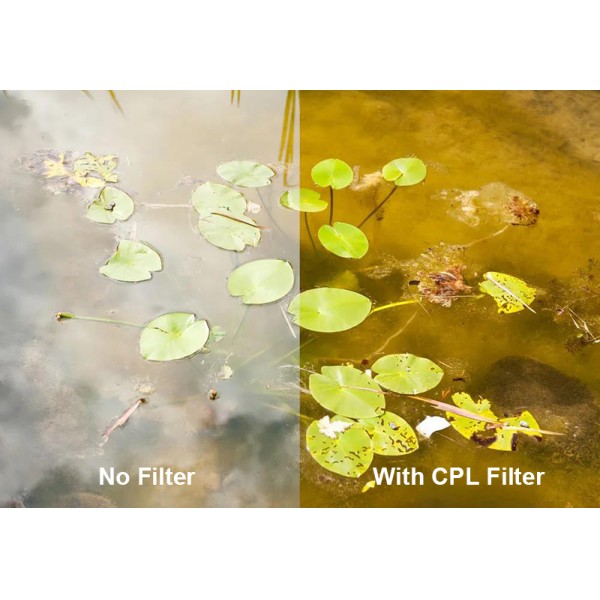 Sample photos taken with CPL filter