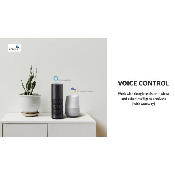 Revolutionize Your Lighting System with the Alexa Echo Google Assistant Light Switch