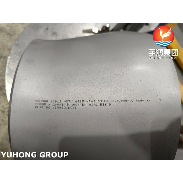 Duplex Stainless Steel ASTM A815 UNS S31803 Fitting