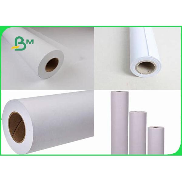 Smooth Surface Plotter Paper Roll For Fruit Packing 45gsm - 80gsm