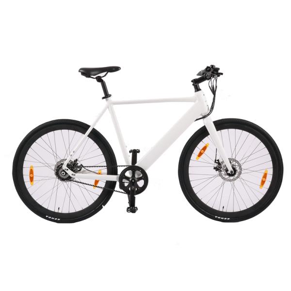 Standard Style Carbon Belt Drive EBike LCD Display Electric Bike with 9.6 AH Capacity