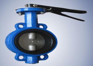 Anticorrosive Ductile Iron Butterfly Valve , Grey Pinless Butterfly Wafer Type Valve
