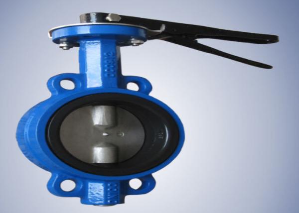 Buy Anticorrosive Ductile Iron Butterfly Valve , Grey Pinless Butterfly Wafer Type Valve at wholesale prices
