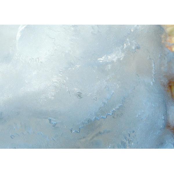 2D X 51mm Bi Component Low Melt Fiber 100% Polyester White