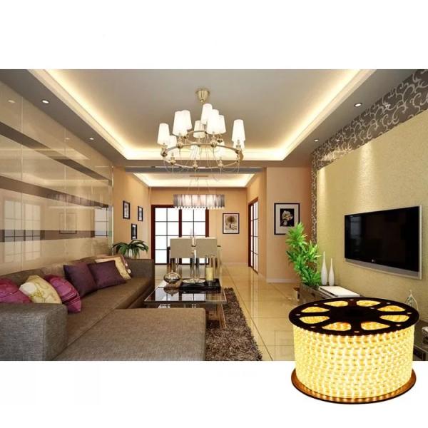 High Voltage LED Strip Lights 220 Volts 120leds/M 8mm Single Row IP67 Waterproof SMD 2835 Flexible Smart