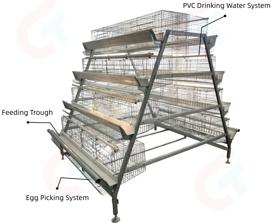 Hot-Dip Galvanized Layer Cage System with Multi-Tier Design and Automatic Feeding Machine for Poultry Farming