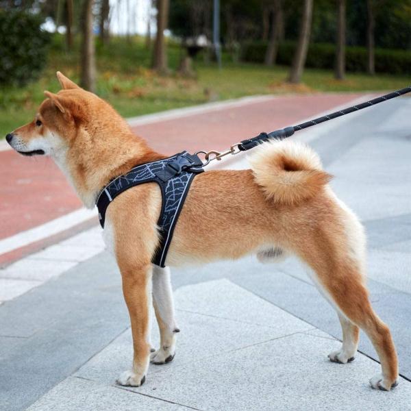 Comfort Puppy Lightweight Padded No Pull Pet Vest