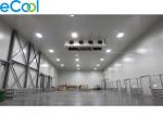 Steel Structure Cold Storage PU Panel Assembling For Frozen Vegetables And