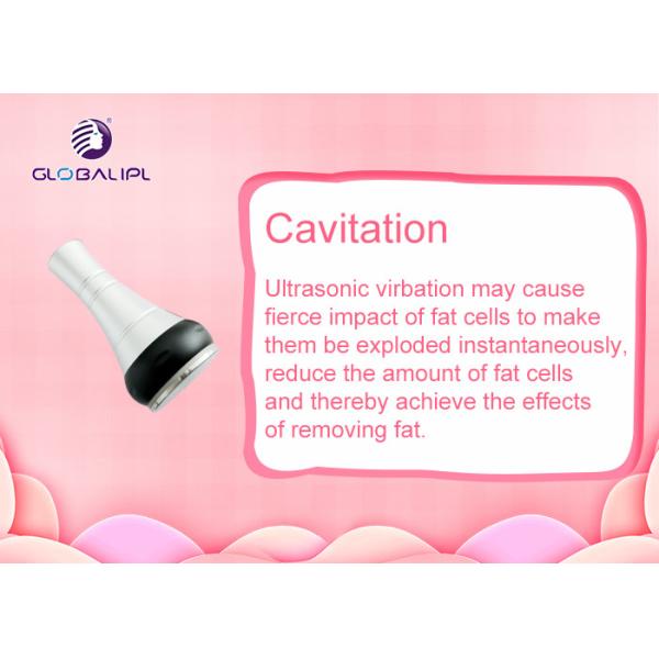 Multi Function Cryolipolysis Machine For Body Thinner And Skin Tightening