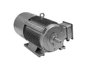 Quality IP55 Ultra High Efficiency Electric Motor , YE4 Series 3 Phase Induction Motor for sale