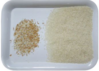 CCD Rice Color Sorter Optical Sorting Machine And Food Processing Machine For Rice
