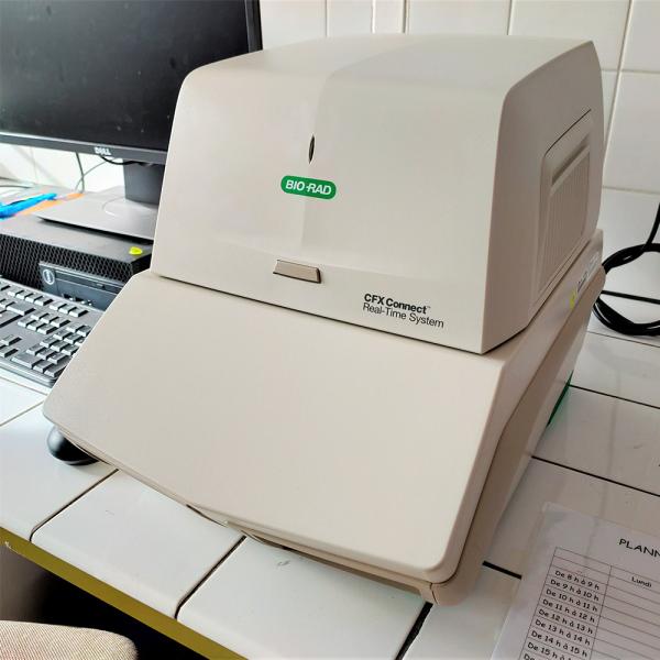 Cfx96 Bio-Rad Connect Real Time Pcr Detection System In Gene Expression Level Analysis Fields
