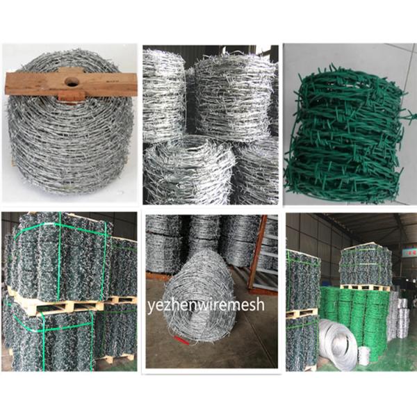 Hot Dipped Galvanizedbarbed wire/cheap barbed wire price per roll/barbed wire roll price fence Razor Barbed Wire