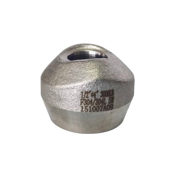 Forged SS SW S30408 9000LB Threaded Pipe Fitting