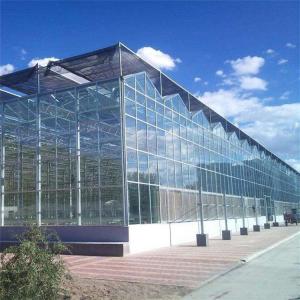 China Glass Multi Span Greenhouse Tropical Solar Hydroponic Flower Vegetable Growing on sale