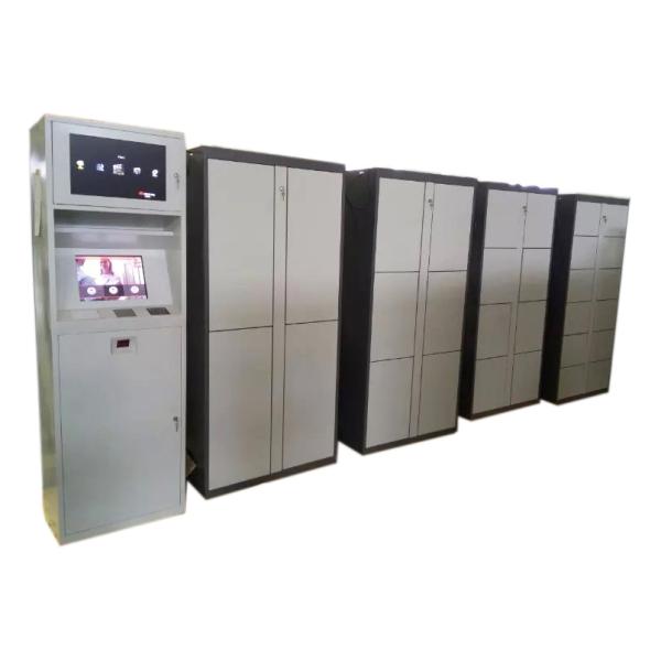 Intelligent Logistic Parcel Delivery Lockers With Remote Control Platform and Smart Electronic Locks