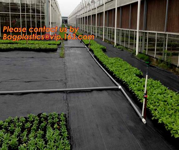 environmental biodegradable pp woven weed control mat, heavy dury pe tarpaulin,Woven Weed Barrier/Weed Control Fabric