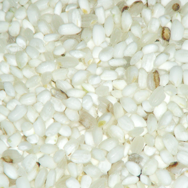 Wenyao Plastic Coffee Bean Peanut Colour Sorting Machine Colour Sorting Machine Rice Colour Sorting Machine Grain