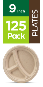 9 inch plates 3 compartment