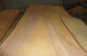 Quality Natural Rotary Cut Birch Veneer Sheet , Yellow rotary cut plywood for sale
