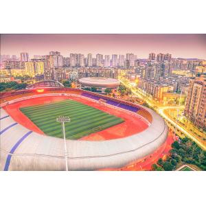 Durable Epdm Jogging Track Soft Epdm Rubber Flooring Playground