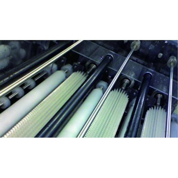 Industrial Fruit And Vegetable Cleaner Machine / Washer Machine Brush Type