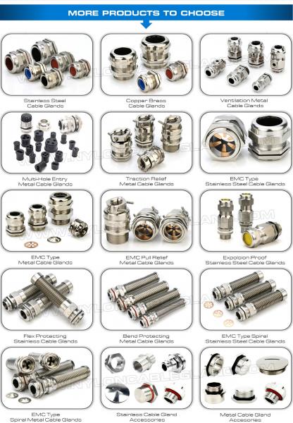 BCG Series PG, Metric, NPT, G Cable Glands (Joint Connectors) IP68 IP69K Nickel-Plated Brass Copper Stainless Steel Type 316L, 316, 304 