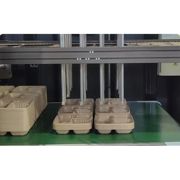 Customizable 3 Division Disposable Compostable To-Go Container Hinged Take Away Food Container Rice Husk Disposable Lunch Box