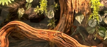Vivarium Background Environmentally Friendly Material Moisture-proof Simple Operation