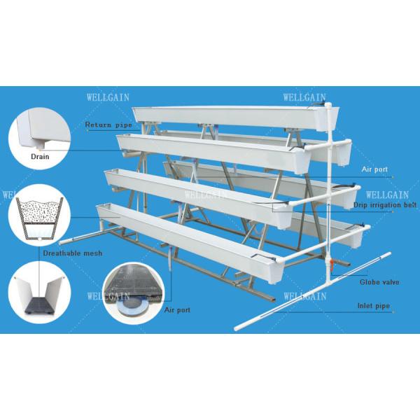 Greenhouse Plastic Hydroponic Growing Systems Vertical Cultivation Strawberry Gutters