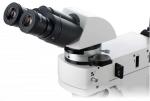 PL10X22mm Transmission Light Microscope 20x 50x Digital Polarizing Microscope