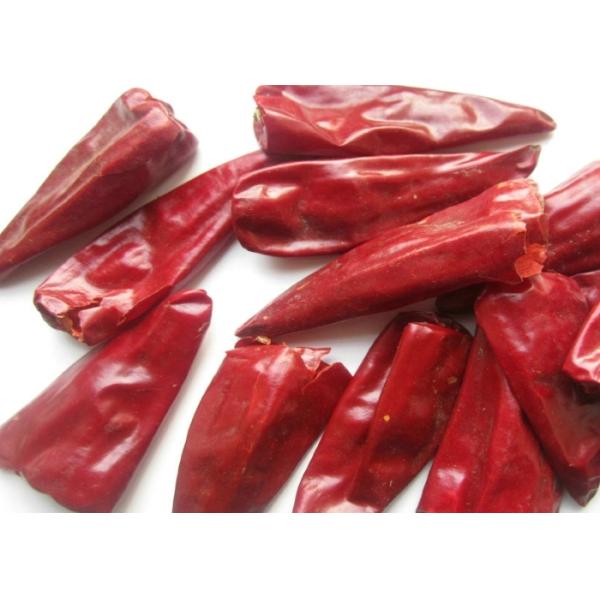 Stemless Red Jinta Chilli Pepper HACCP KOSHER Standard