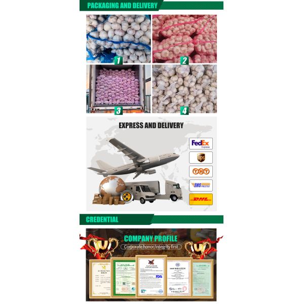 Organic Fresh High-quality Garlic Grown in China 10kg Mesh Bag Wholesale