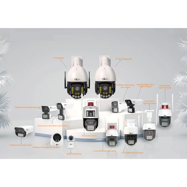 Input Output Cctv Ir Capture Night Vision CCTV Security Camera 4Mp Indoor Security Dome Camera