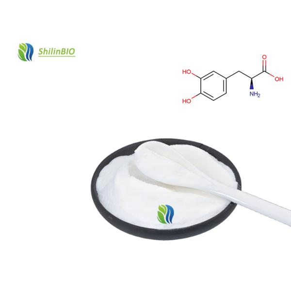 Levodopa Powder