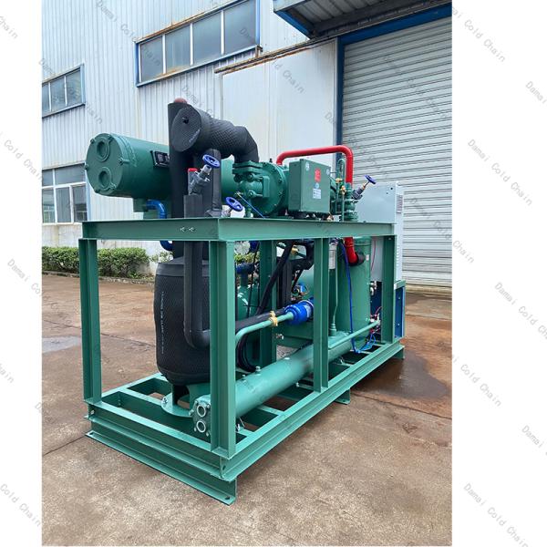 Cold Storage Cold Room Condensing Unit Low Temp 60Hz Energy Efficient